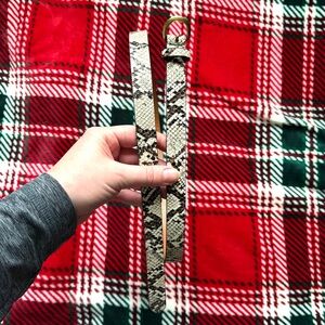 American Eagle Snakeskin Belt